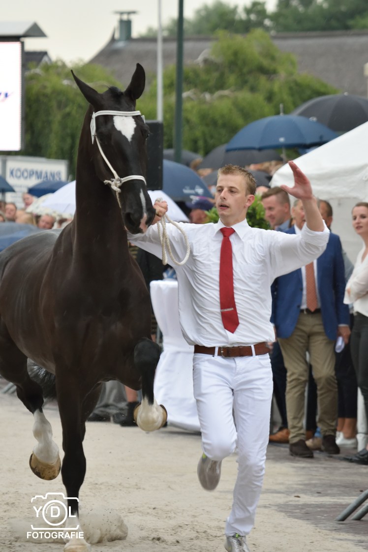 DSC_0068_024-BorderMaker