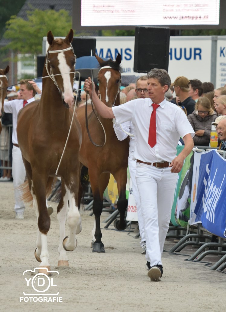 DSC_0113_021-BorderMaker