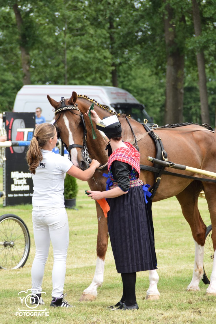 DSC_0154-BorderMaker