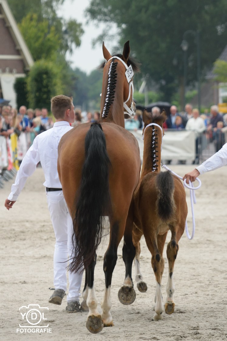 DSC_0335_018-BorderMaker