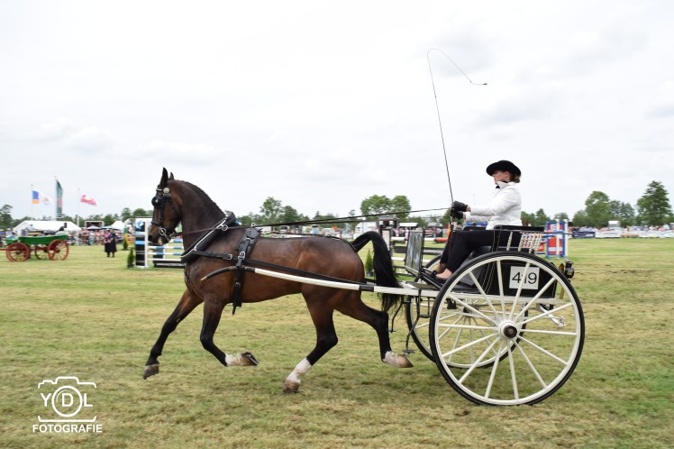 DSC_0400-BorderMaker