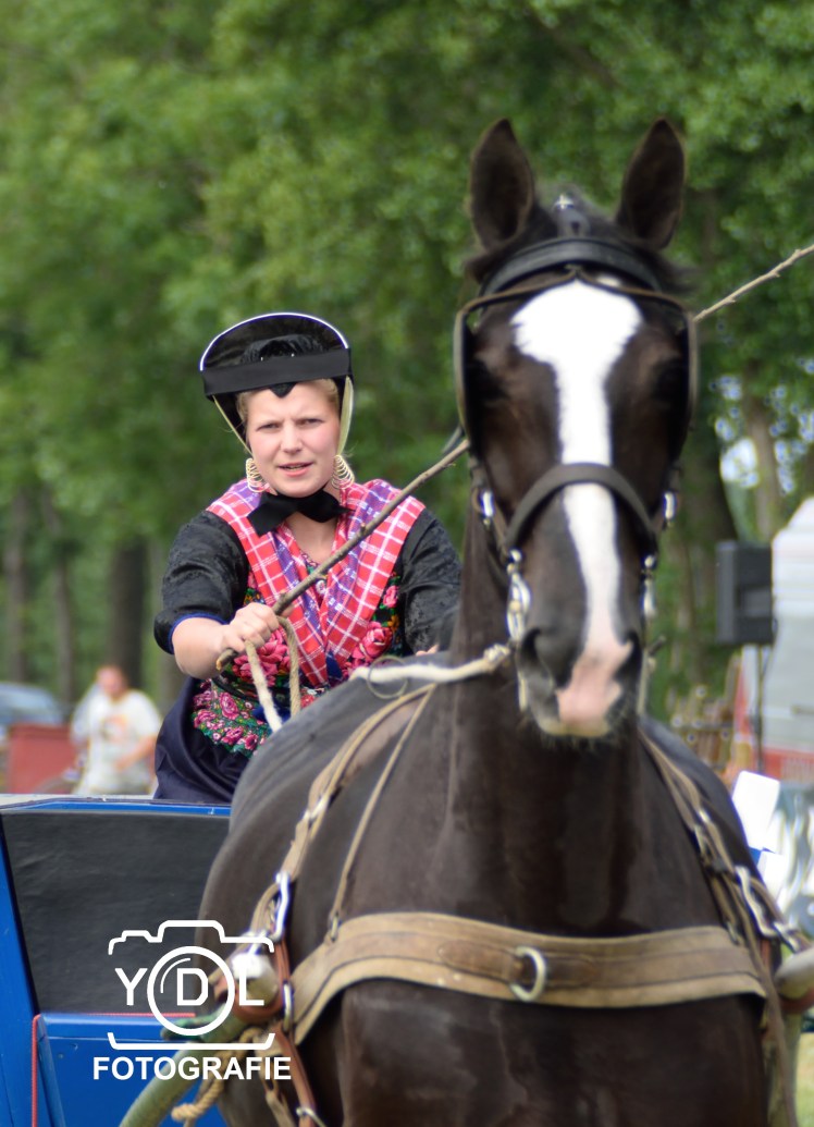 DSC_0679-BorderMaker