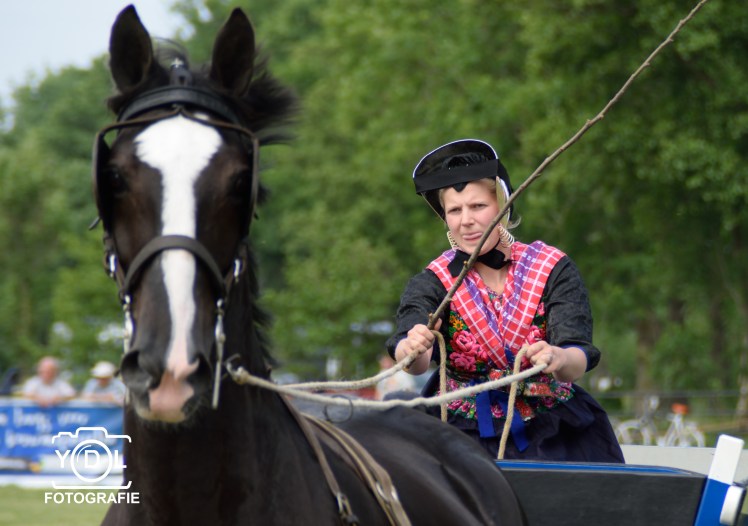 DSC_0680-BorderMaker