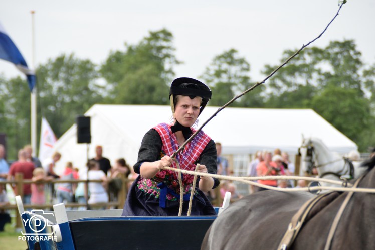 DSC_0683-BorderMaker