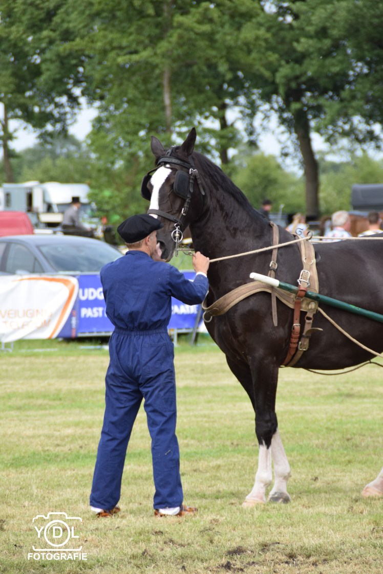 DSC_0700-BorderMaker