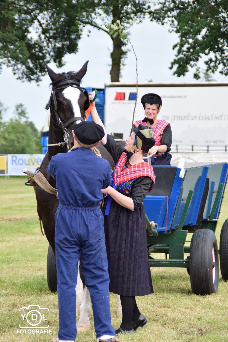 DSC_0702-BorderMaker