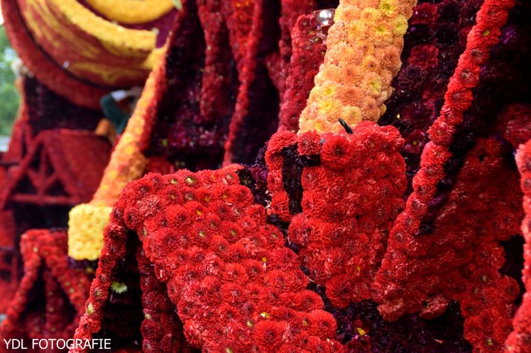 DSC_0908_082-BorderMaker